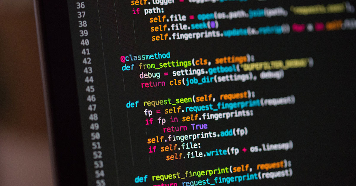Coding showing custom software development