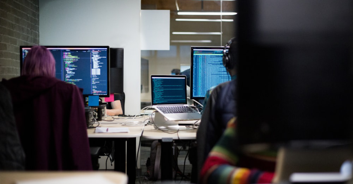 People sitting at desks, coding on their monitors